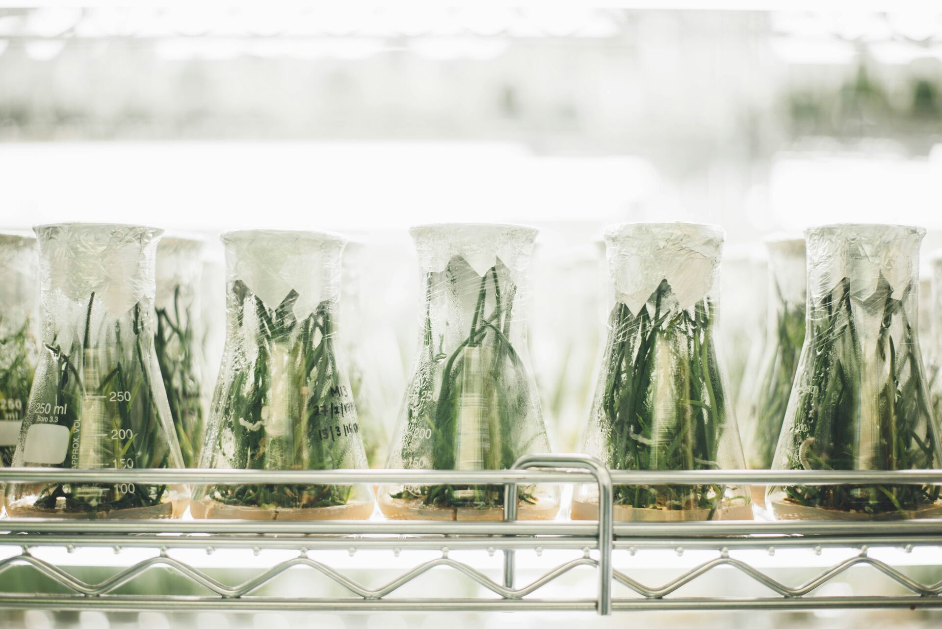 Horticulture research